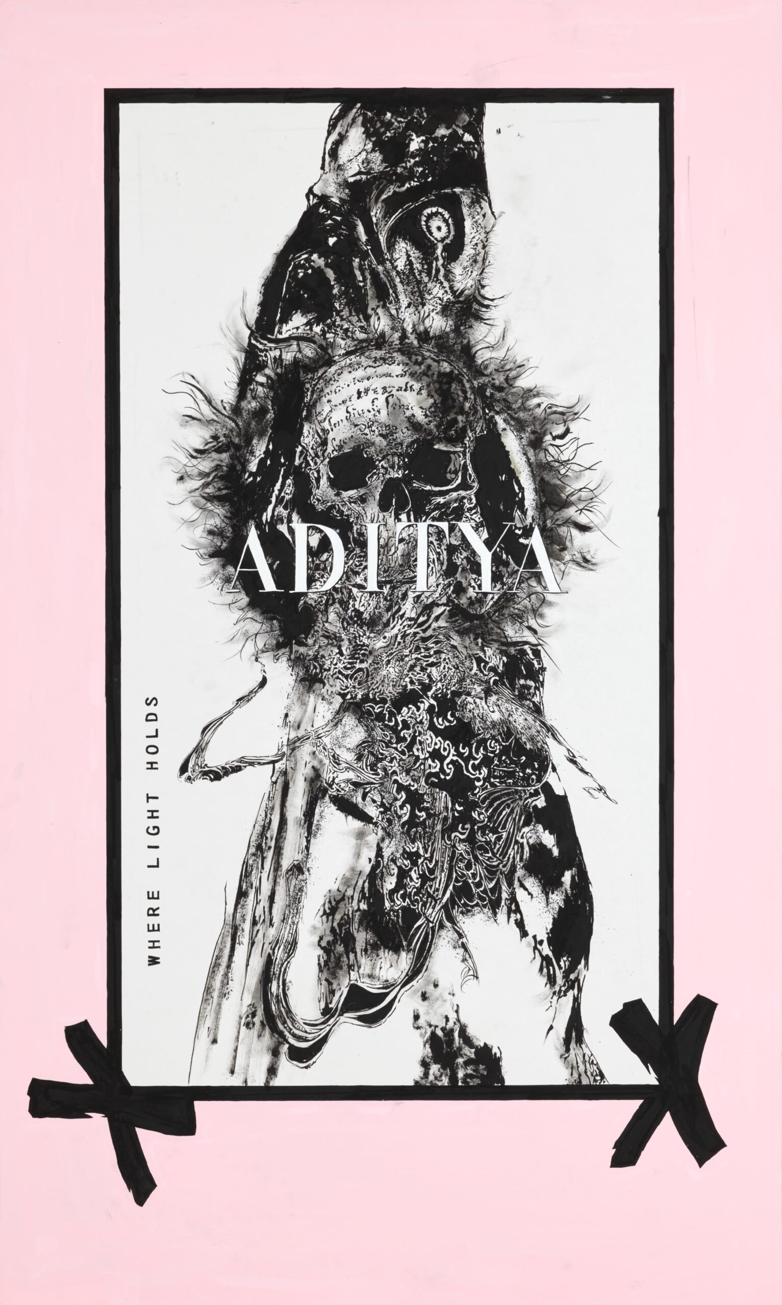 ADITYA Original Image